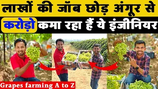 अंगूर से लेकर वाइन तक 🍇🍷 A to Z Grapes Farming (2023) || Indian Farmer feat. @FarmingEngineer
