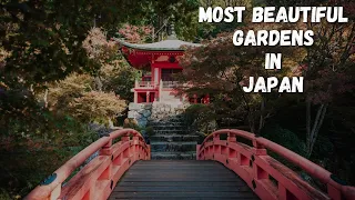 The 10 Most Beautiful Gardens In Japan