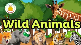 WILD ANIMALS Name & Sounds |Realtime Animals Video| Tamilarasi English