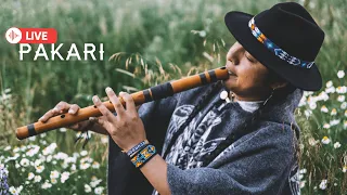 Pakari - Native music for positive energies🍃