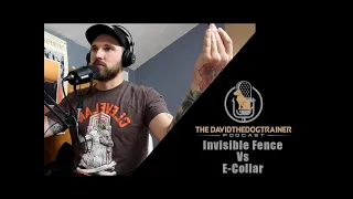 Invisible Fence Vs. E-Collar (Which Is More Reliable?)