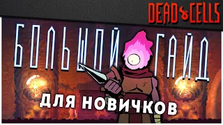 Dead Cells | Большой Гайд для Новичков