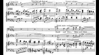 "Mein Sehnen, mein Wähnen" (E.W. Korngold) aus der Oper 'Die Tote Stadt' / Piano accompaniment