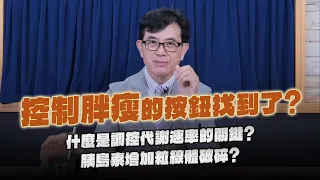 '24.05.13【名醫On Call】宋晏仁醫師：控制胖瘦的按鈕找到了？什麼是調控代謝速率的關鍵？胰島素增加粒線體破碎？