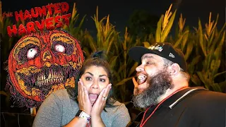 The Haunted Harvest 2022 | Corn Maze in Chino California