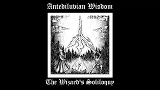 Antediluvian Wisdom  The Wizard's Soliloquy