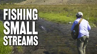 How to Fish Small Streams with Tom Rosenbauer