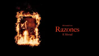 09 - RAZONES (lyric video) #27album