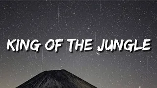 Vin Jay - King Of The Jungle ( Lyrics )