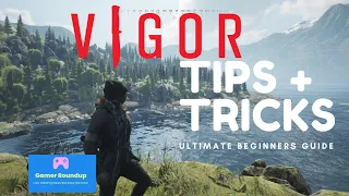 Beginners guide Top 10 Vigor tips 2022