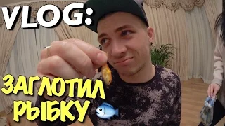 VLOG: ЗАГЛОТИЛ ЗОЛОТУЮ РЫБКУ / Андрей Мартыненко