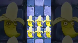 Banana | Plants vs Zombies 2