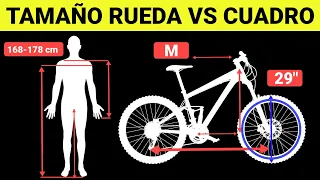 📐¿QUÉ TAMAñO DE RUEDA LE VA AL TAMAÑO DEL CUADRO? 🚲 SALUD CICLISTA