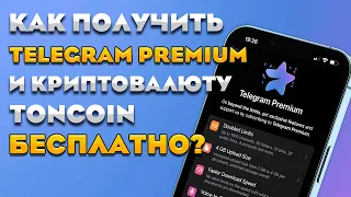Бесплатно получаем Telegram Premium и Toncoin в раздаче от PlayDeck / Полная инструкция