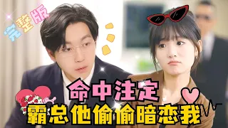[FULL] Destined: The CEO Secretly Has a Crush on Me | Zhen Ziqi × Jia Yixuan