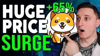 BABY DOGE COIN HUGE NEWS ! COIN BURN COMING ! PRICE PUMP ! BABY DOGE COIN PRICE PREDICTION 2021