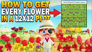 How To Get EVERY Hybrid Flower In A 12x12 Area! Datamined Animal Crossing New Horizons Flower Guide