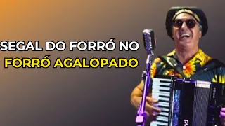 PLAYLIST COMPLETA SEGAL DO FORRÓ NO FORRÓ AGALOPADO!!!😎