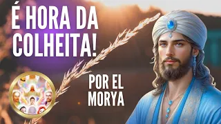 MUITOS SERÃO LEVADOS POIS NÃO PRECISAM PARTICIPAR DO FIM DA ESCURIDÃO! por El Morya