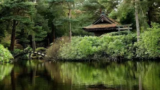 BOLS TIBÉTAINS de GUÉRISON, Oiseaux et Pluie • Apaise l'Esprit • Bien-Être, Détente et Sommeil • 10H