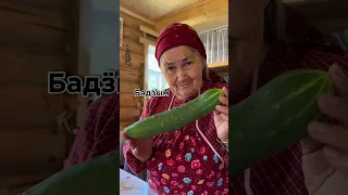 🥒 Ни один огурец при съёмке клипа не пострадал 😄 #удмуртия #язык #врек