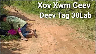 Xov Xwm Ceev [3/1/2023] Zoo Siab Deev Tag Tu Ntxhais Dag Poob 30 Lab
