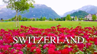 🏡🌺🌷 Interlaken Spring 🇨🇭 Switzerland 🌸 Beautifully Decorated Swiss Resort Town | #swiss