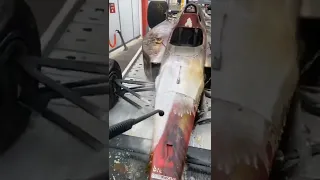 car formula 1 restoration