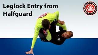 BJJ Submissions | Favorite leglock entry from halfguard