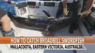 Fishing Edge episode - How To Catch Broadbill Swordfish