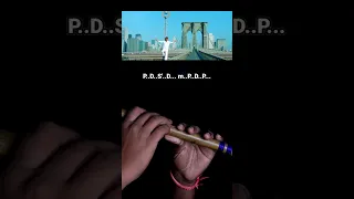 Kal Ho Naa Ho Flute Cover + Notes | #sonunigam #kalhonaho #flutenotes #flutetutorial #flutecover