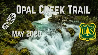 Opal Creek Trail - Willamette National Forest, Lyons, OR - (May 2020)