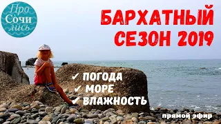 Бархатный сезон в СОЧИ 2019 🔵 видео прямого эфира ПроСОЧИлись