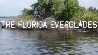 Epic day Fishing DEEP in the Florida Everglades