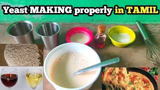 Making yeast proper at home, | yeast making at home in tamil, | homemade yeast in tamil,