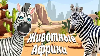 ЖИВОТНЫЕ АФРИКИ! ПТИЦЫ АФРИКИ! Развивающие мультики для детей + ЗВУКИ И ГОЛОСА АФРИКИ