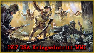 1917 Kriegseintritt USA - Motive und Hintergründe