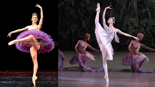 8 ballerinas in Le Corsaire Medora variation | Who is your favourite?