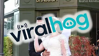 Beirut Wedding Photo Shoot Interrupted by Explosion || ViralHog