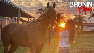 MINHA HISTÓRIA - TARCÍSIO DO ACORDEON E EDY & NATHAN ( CLIPE NOVO ) BRUNIN CLIPES