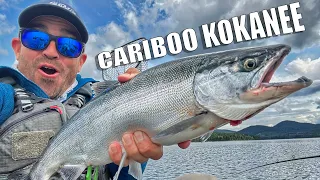 Big Cariboo Kokanee