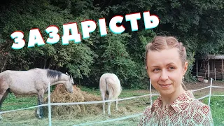 Заздрість: що за нею стоїть насправді і що робити?