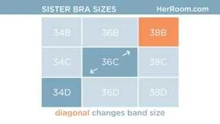 Sister Bra Sizes - HerRoom