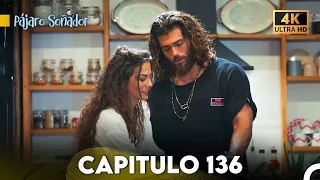 Pájaro Soñador Capítulo 136 (Doblado En Español 4K)