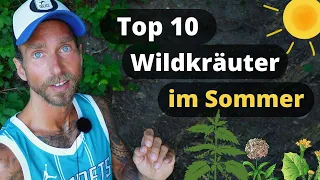 Essbare Wildkräuter im Sommer: Meine Top 10 Heilpflanzen inkl. Gundermann, Brennnessel uvm.