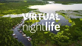 Virtual NightLife: Human/Nature