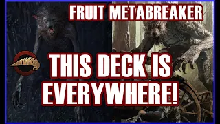 EVERY PRO AND STREAMER PLAYS NEW MONSTERS METABREAKER | Fruits of Ysgith deck | Gwent 11.9