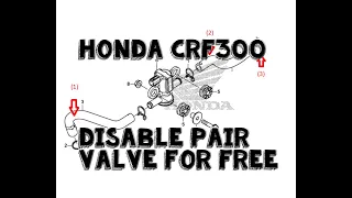 Honda CRF300 Free Mod - Disable Pair Valve (no material needed) - I also say "essentially" ALOT