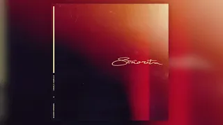 Shawn Mendes, Camila Cabello - Señorita (Official Instrumental)