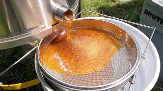 Harvesting BUCKETS of Honey, 95 Pounds!